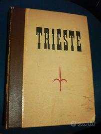 LIBRO       "TRIESTE  e la Venezia Giulia"