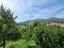 Immagine 20