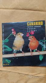rarissimo 45 giri Vintage 1970