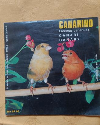 rarissimo 45 giri Vintage 1970