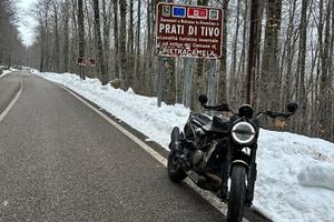 Svartpilen 701 style