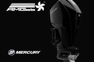 Mercury verado 250ds hp v8 4.6cc