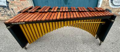 Marimba Musser