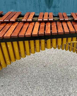 Marimba Musser