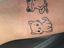 Immagine 4