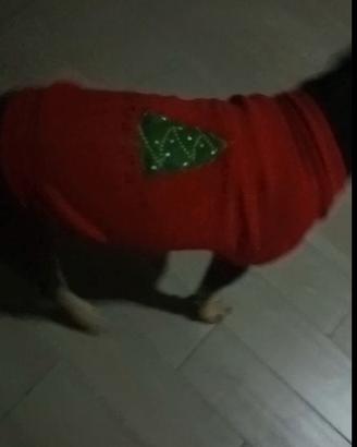 maglioncino natalizio