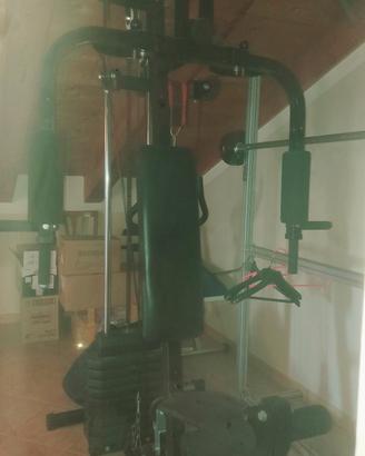 palestra