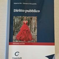 Libro di diritto