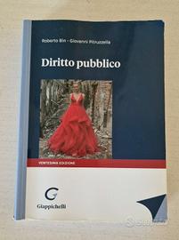 Libro di diritto