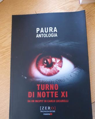 TITOLO DEL LIBRO: TURNO DI NOTTE XI