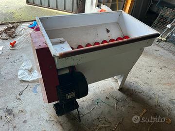 Diraspatrice elettrica con pompa per uva con tubo