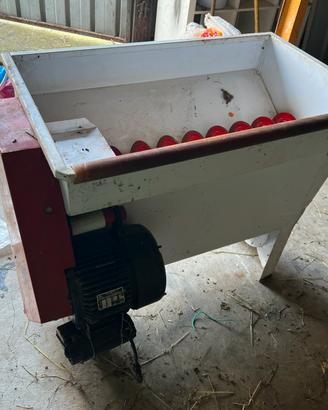 Diraspatrice elettrica con pompa per uva con tubo