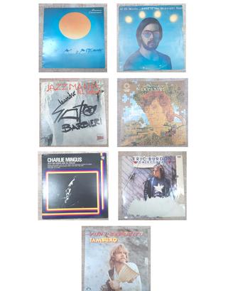 Dischi vinile 33 giri