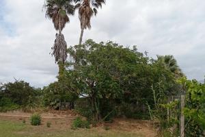 Terreno Casa mobile a 5 min.dal mare