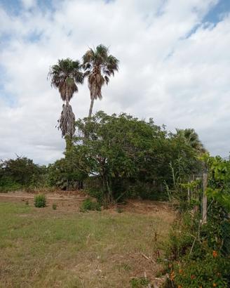 Terreno ct3 edificabile