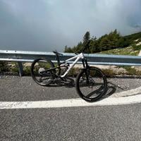 Mtb Enduro Canyon Spectral Al5 TgL 29 Biammortizza