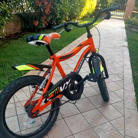 bicicletta bimbo 5 anni