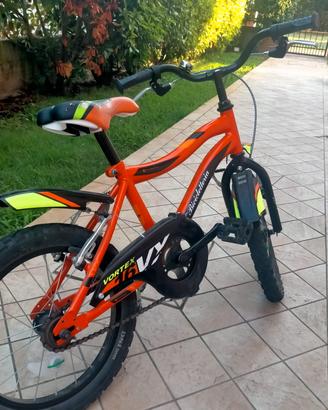 bicicletta bimbo 5 anni