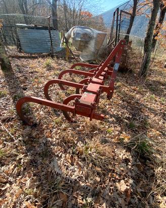 Estirpatore Biagioli