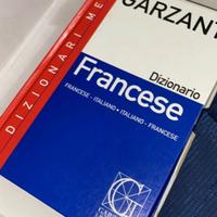 Dizionario di Francese