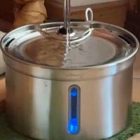 Fontanella gatti Feelneedy