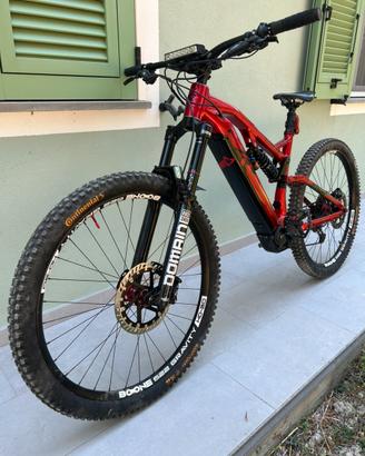 Ebike Raymon Trailray e160 10.0
