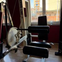 LEG CURL DA SEDUTO PROFESSIONALE PANATTA
