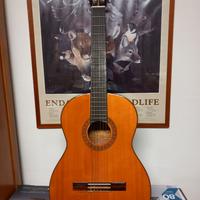 chitarra acustica Morris