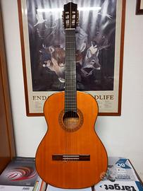 chitarra acustica Morris