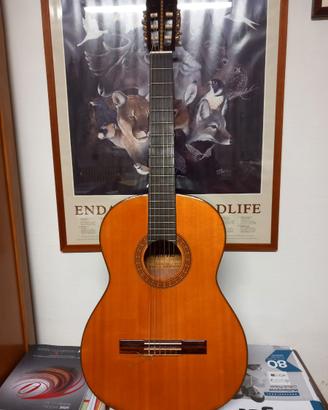 chitarra acustica Morris