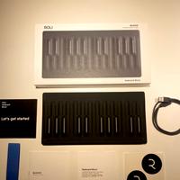 Roli Seaboard Block