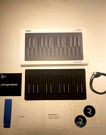 Roli Seaboard Block