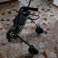 Deambulatore per esterno