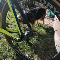 Bici da corsa... Cronometro