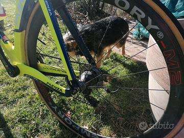 Bici da corsa... Cronometro