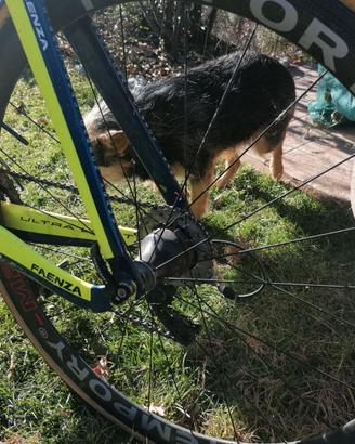 Bici da corsa... Cronometro