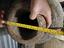 Immagine 3