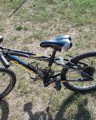 MTB Front 20''