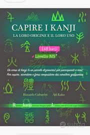Libro Capire i Kanji di Riccardo Gabarrini, nuovo