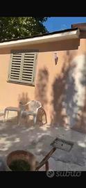Villetta nel verde a 650 metri dal mare mondragon