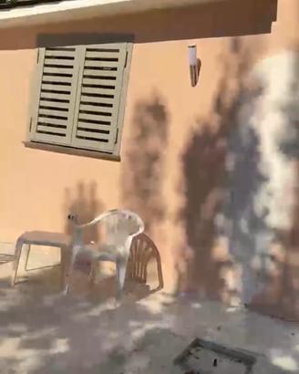 Villetta nel verde a 650 metri dal mare mondragon