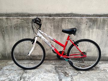 Frejus sport series 
MTB FRJ580