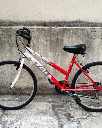 Frejus sport series 
MTB FRJ580