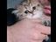 Immagine 4