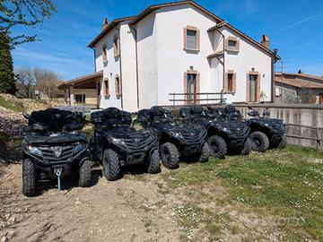 quad cf. 450 passo lungo