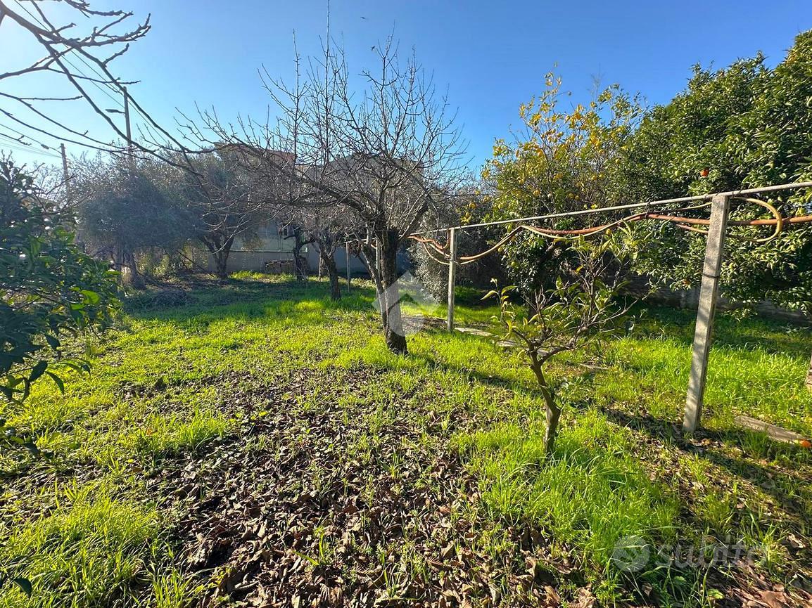 CASA INDIPENDENTE A MONDRAGONE - Altro