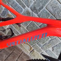 Specialized turbo levo Batteria 700wh