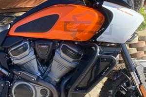 Harley Davidson Panamerica 1250 Special