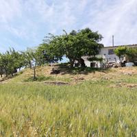 Terreno con casolare