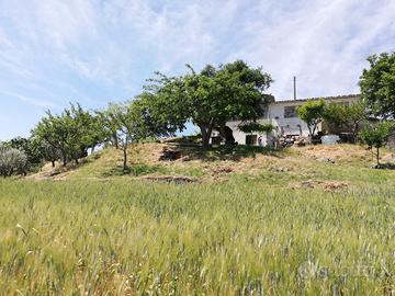 Terreno con casolare